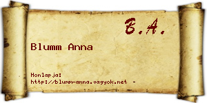 Blumm Anna névjegykártya
